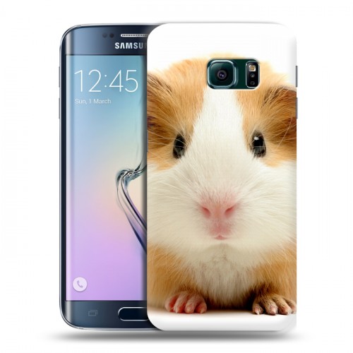 Дизайнерский пластиковый чехол для Samsung Galaxy S6 Edge Грызуны