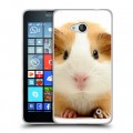 Дизайнерский пластиковый чехол для Microsoft Lumia 640 Грызуны