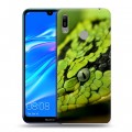 Дизайнерский пластиковый чехол для Huawei Y6 (2019) Змеи