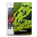 Дизайнерский пластиковый чехол для Sony Xperia E Змеи