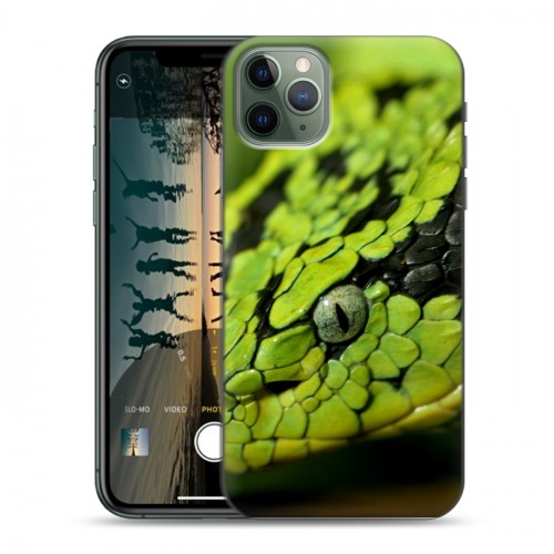 Дизайнерский пластиковый чехол для Iphone 11 Pro Max Змеи