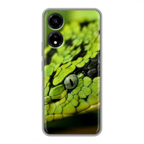 Дизайнерский пластиковый чехол для Huawei Honor X5 Plus Змеи