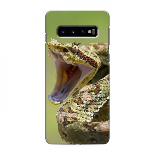 Дизайнерский силиконовый чехол для Samsung Galaxy S10 Змеи