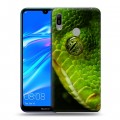 Дизайнерский пластиковый чехол для Huawei Y6 (2019) Змеи