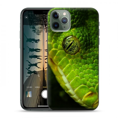 Дизайнерский пластиковый чехол для Iphone 11 Pro Max Змеи