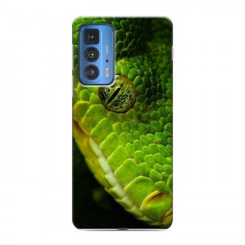 Дизайнерский силиконовый чехол для Motorola Edge 20 Pro Змеи