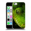 Дизайнерский пластиковый чехол для Iphone 5c Змеи