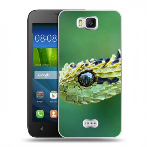 Дизайнерский пластиковый чехол для Huawei Y5c Змеи