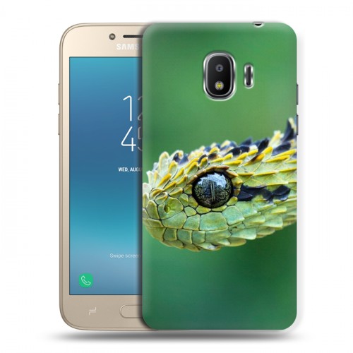 Дизайнерский пластиковый чехол для Samsung Galaxy J2 (2018) Змеи