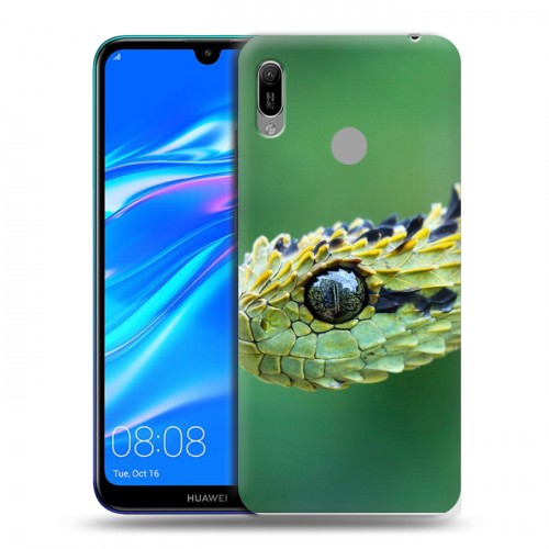 Дизайнерский пластиковый чехол для Huawei Y6 (2019) Змеи