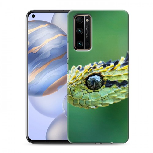 Дизайнерский пластиковый чехол для Huawei Honor 30 Змеи