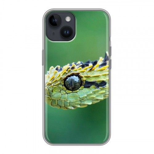 Дизайнерский пластиковый чехол для Iphone 14 Змеи