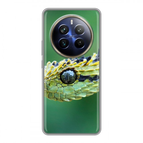 Дизайнерский пластиковый чехол для Realme 12 Plus 5G Змеи
