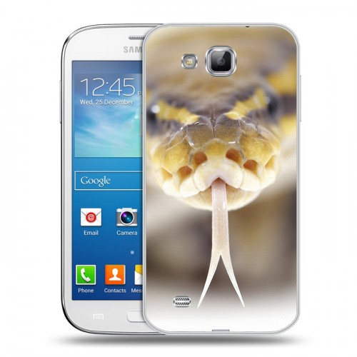 Дизайнерский пластиковый чехол для Samsung Galaxy Premier Змеи