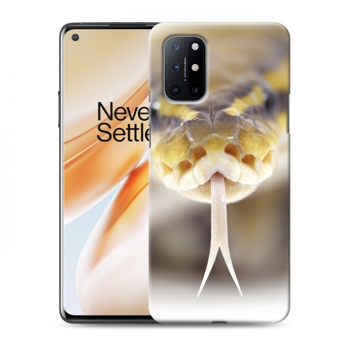 Дизайнерский пластиковый чехол для OnePlus 8T Змеи