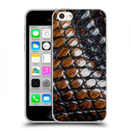Дизайнерский пластиковый чехол для Iphone 5c Змеи