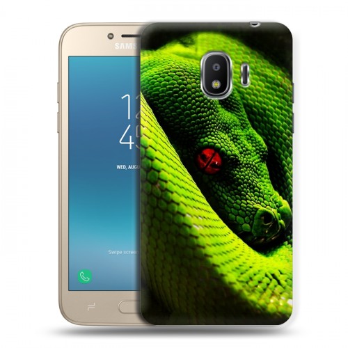 Дизайнерский пластиковый чехол для Samsung Galaxy J2 (2018) Змеи