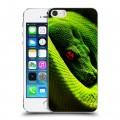 Дизайнерский пластиковый чехол для Iphone 5s Змеи