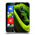 Дизайнерский пластиковый чехол для Nokia Lumia 620 Змеи