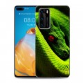 Дизайнерский пластиковый чехол для Huawei P40 Змеи