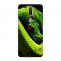 Дизайнерский силиконовый чехол для Nokia 2.4 Змеи