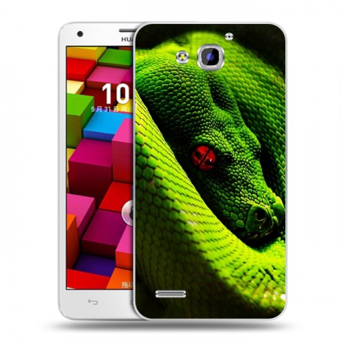 Дизайнерский пластиковый чехол для Huawei Honor 3x Змеи