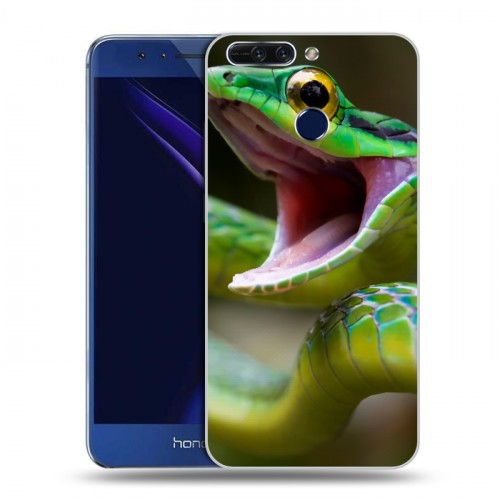 Дизайнерский пластиковый чехол для Huawei Honor 8 Pro Змеи