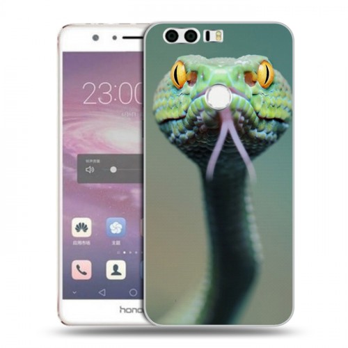 Дизайнерский пластиковый чехол для Huawei Honor 8 Змеи