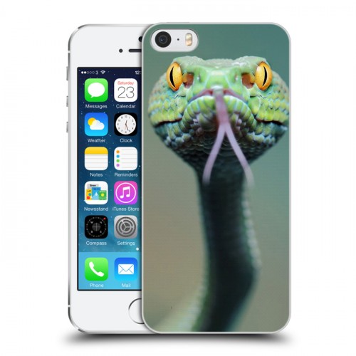 Дизайнерский пластиковый чехол для Iphone 5s Змеи