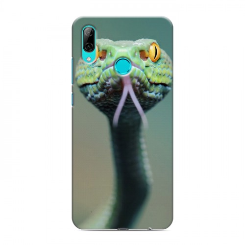 Дизайнерский пластиковый чехол для Huawei P Smart (2019) Змеи
