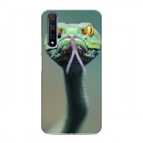 Дизайнерский пластиковый чехол для Huawei Honor 20 Змеи