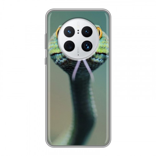 Дизайнерский пластиковый чехол для Huawei Mate 50 Pro Змеи