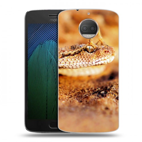 Дизайнерский пластиковый чехол для Motorola Moto G5s Plus Змеи