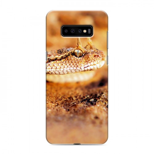 Дизайнерский пластиковый чехол для Samsung Galaxy S10 Plus Змеи