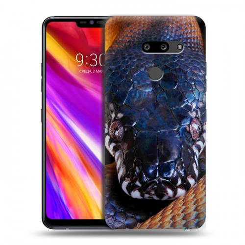 Дизайнерский пластиковый чехол для LG G8 ThinQ Змеи