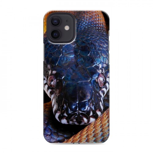 Дизайнерский силиконовый чехол для Iphone 12 Змеи