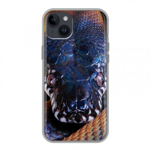 Дизайнерский пластиковый чехол для Iphone 14 Plus Змеи