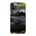 Дизайнерский силиконовый чехол для Iphone 12 Pro Max Змеи