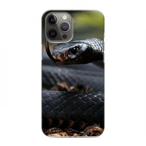Дизайнерский силиконовый чехол для Iphone 12 Pro Max Змеи