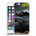 Дизайнерский пластиковый чехол для Iphone 6/6s Змеи