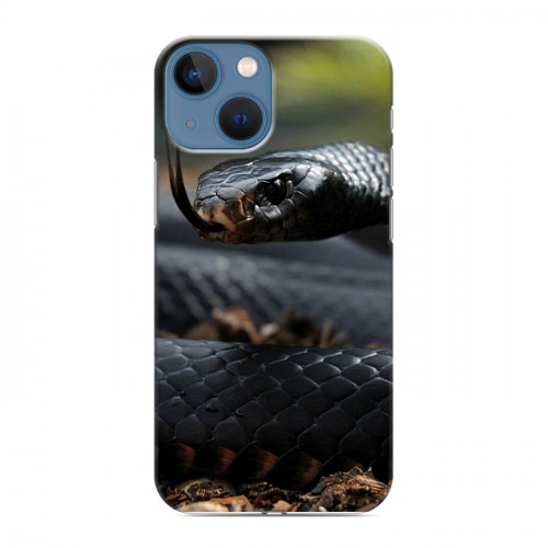 Дизайнерский пластиковый чехол для Iphone 13 Mini Змеи