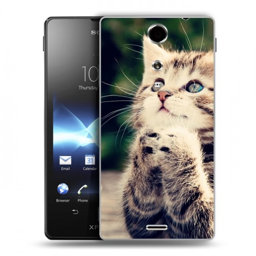 Дизайнерский пластиковый чехол для Sony Xperia TX Котята