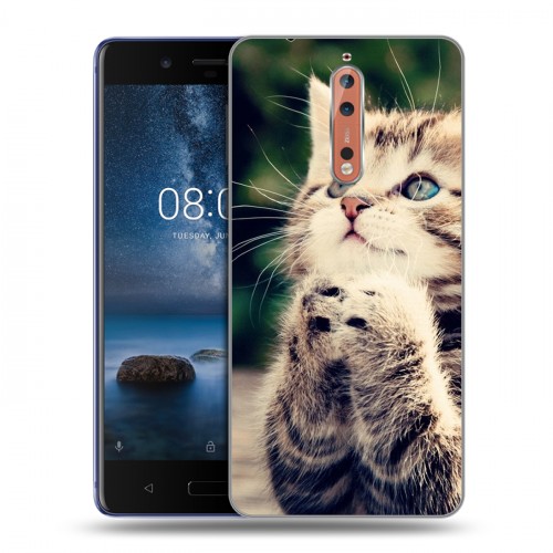 Дизайнерский пластиковый чехол для Nokia 8 Котята