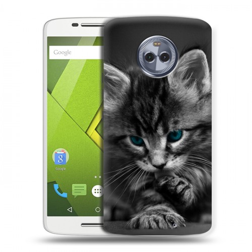Дизайнерский пластиковый чехол для Motorola Moto X4 Котята