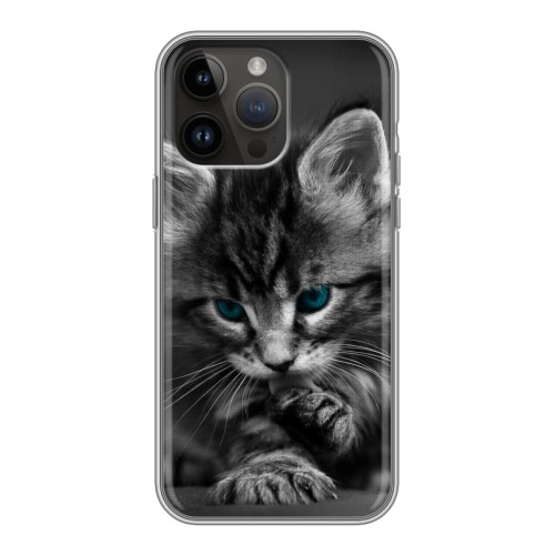 Дизайнерский силиконовый чехол для Iphone 14 Pro Max Котята