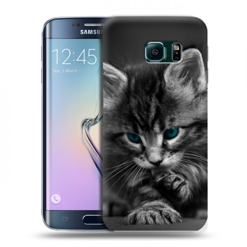 Дизайнерский пластиковый чехол для Samsung Galaxy S6 Edge Котята