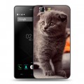 Дизайнерский силиконовый чехол для Doogee X5 Котята