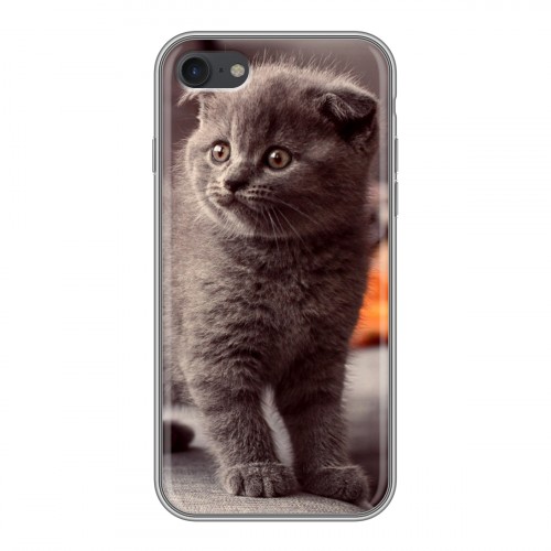 Дизайнерский силиконовый чехол для Iphone 7 Котята