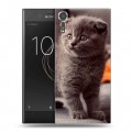 Дизайнерский пластиковый чехол для Sony Xperia XZs Котята