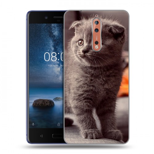 Дизайнерский пластиковый чехол для Nokia 8 Котята